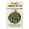 Burgess Buttercup Winter Squash Seeds