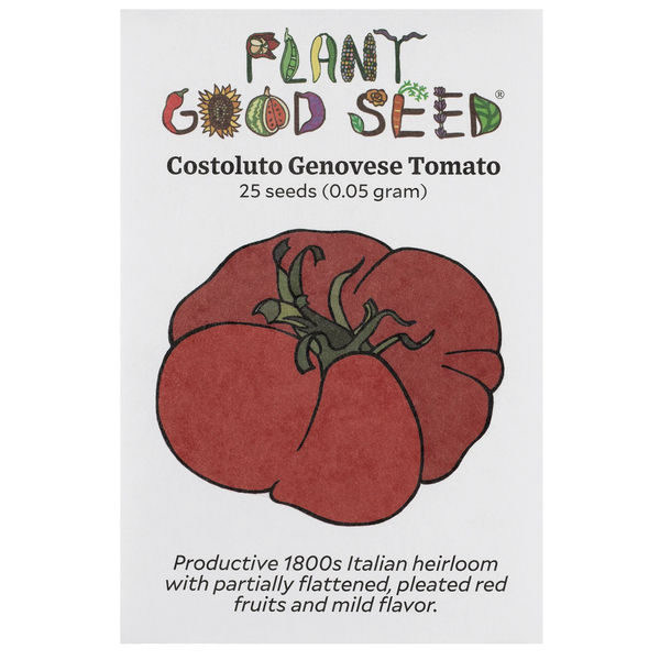 Costoluto Genovese Tomato
