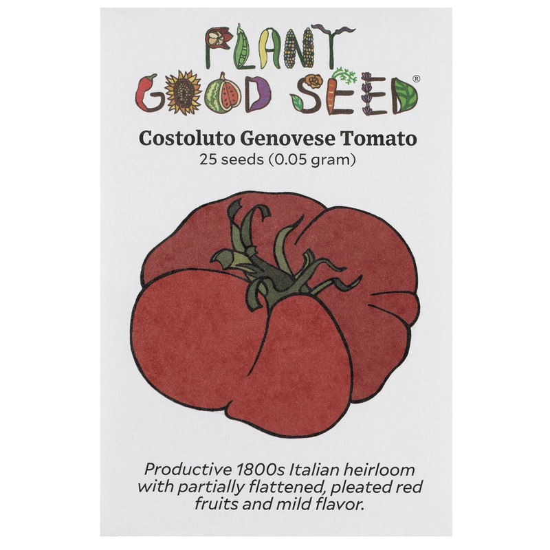 Costoluto Genovese Tomato