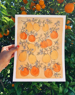 “Sweet Citrus” by Kim Hoppe