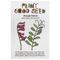 Purple Vetch Seeds
