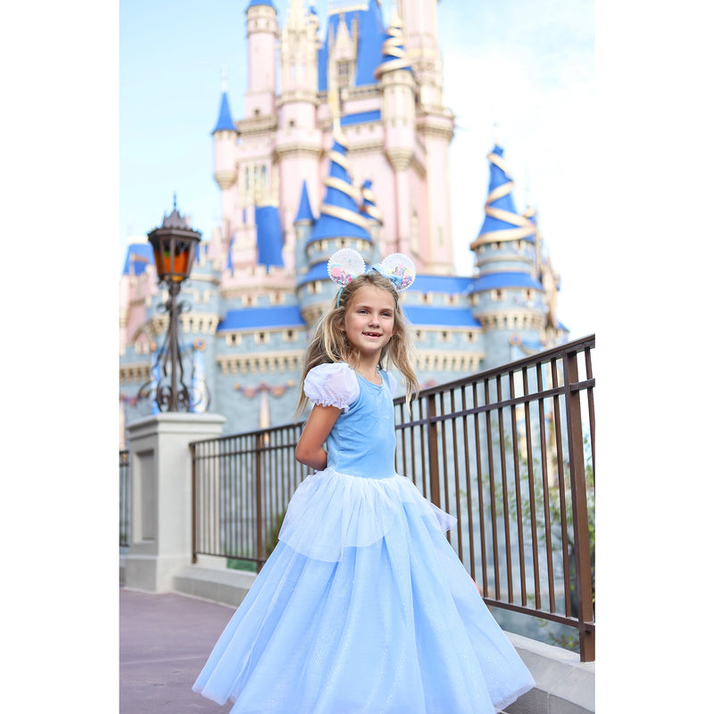 The Princess Cinderella Costume