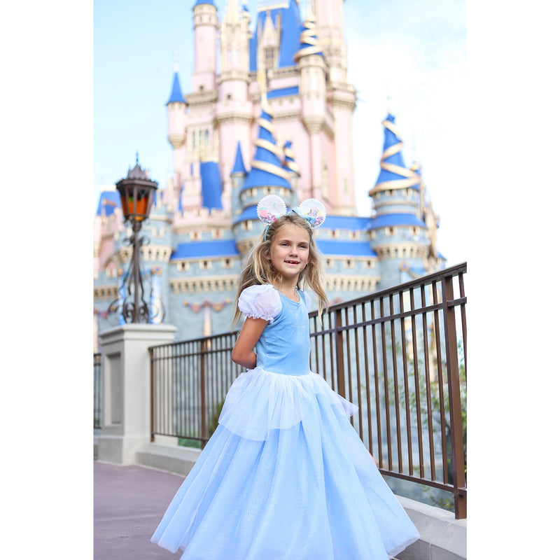 The Princess Cinderella Costume Heritage Goods and Supply