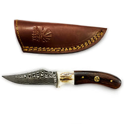 Stag Horn and Walnut Utility and Skinning Knife T