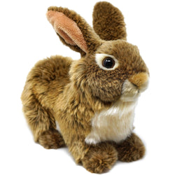 Brigid the Brown Rabbit