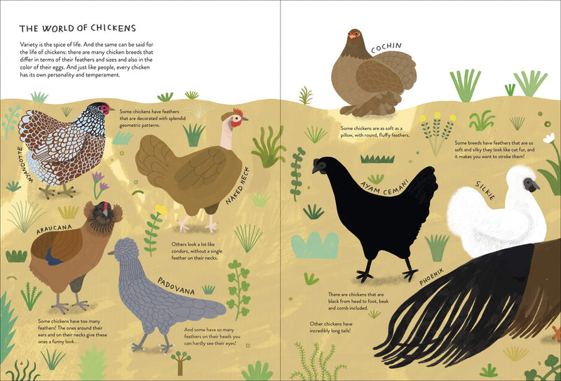 Chickenology The Ultimate Encyclopedia