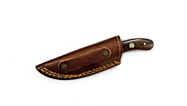 Stag Horn and Walnut Utility and Skinning Knife T