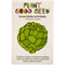 Green Globe Artichoke