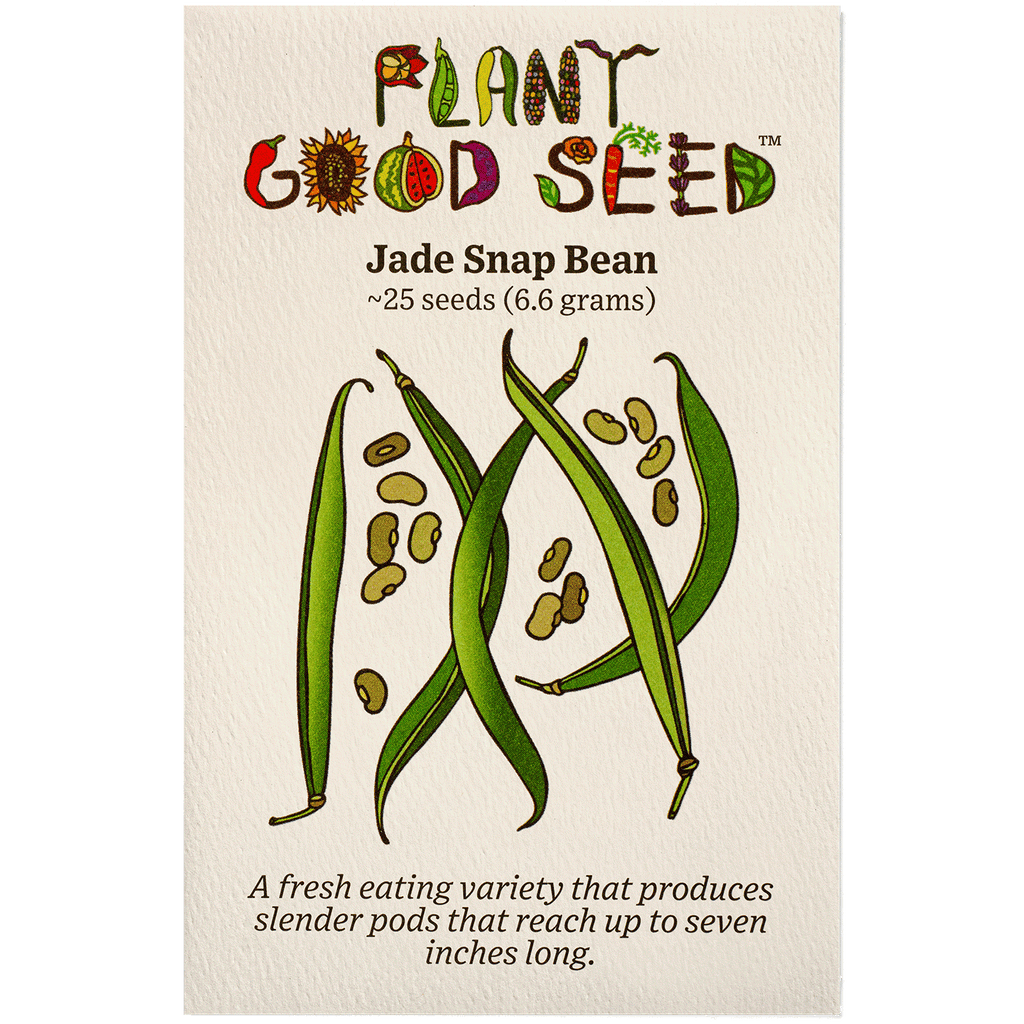 jade plant seed Jade Snap Bean Seeds – Heritage Goods and Supply
