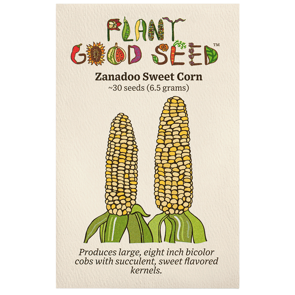 Zanadoo Sweet Corn Seeds