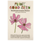 Daydream Cosmos Flower Seeds