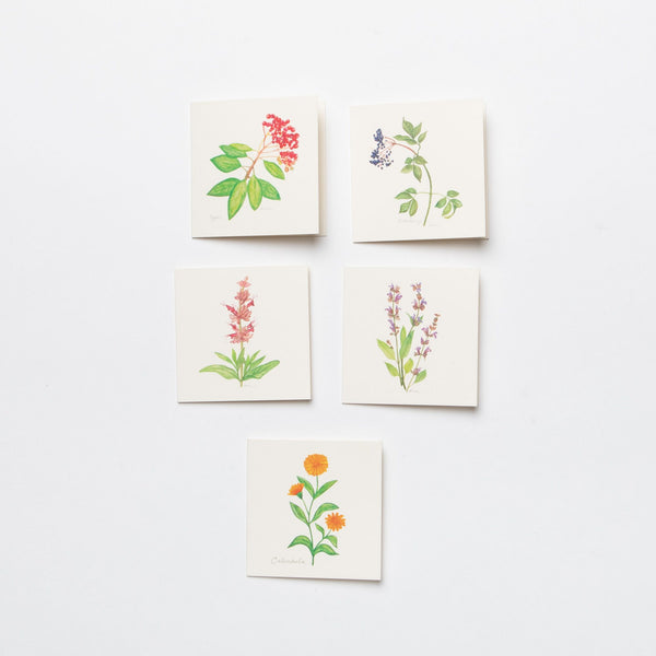 Mini Plant Card Packs