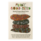 Earth Tones Dent Corn Seeds