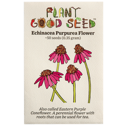 Echinacea Purpurea / Eastern Coneflower Seeds