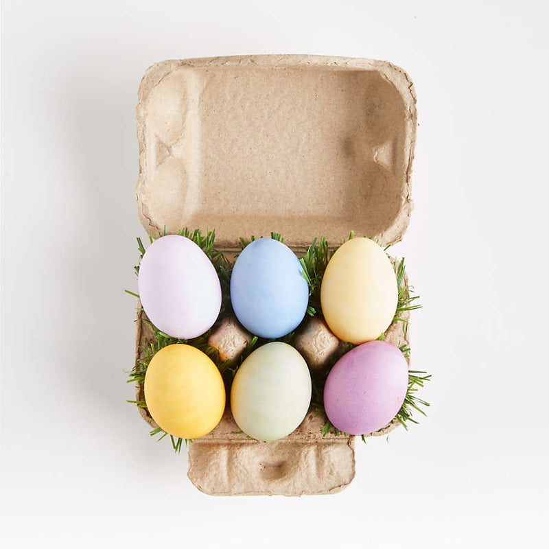 Ecokids Egg Coloring & Grass Growing Kit