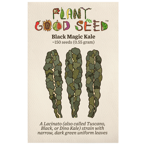 Black Magic Lacinato Kale Seeds