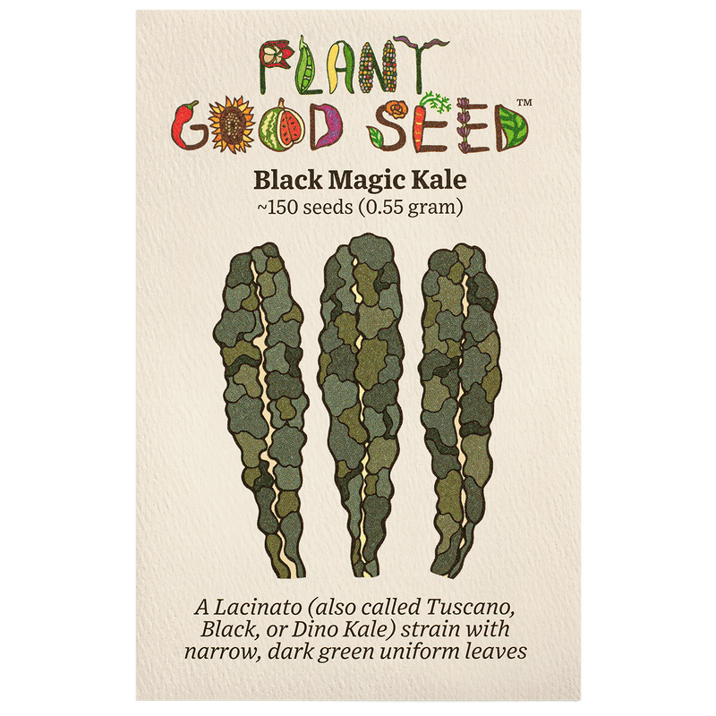 Black Magic Lacinato Kale Seeds