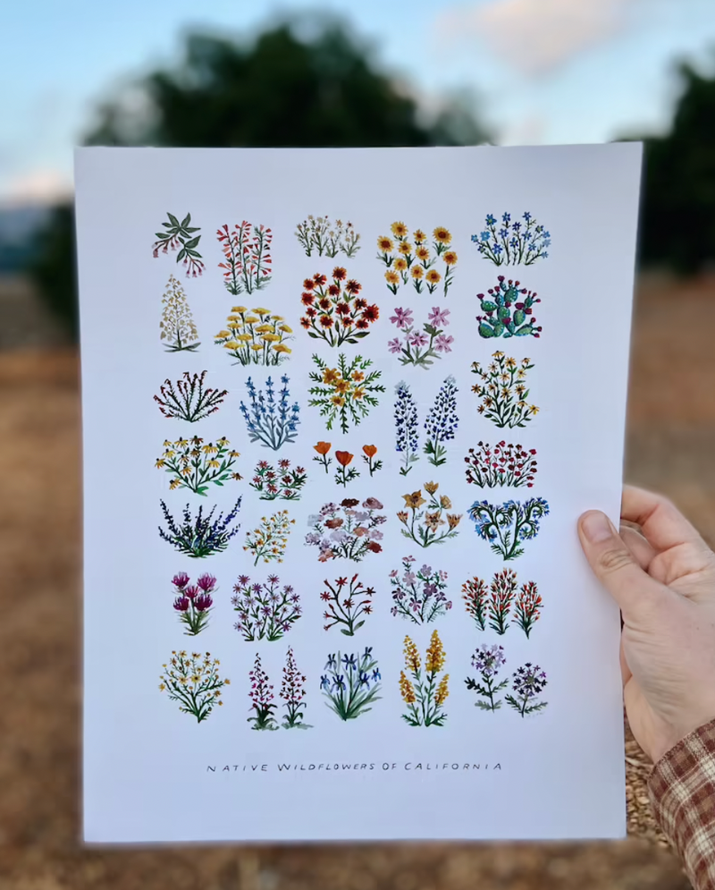 Native Wildflowers of California Print
