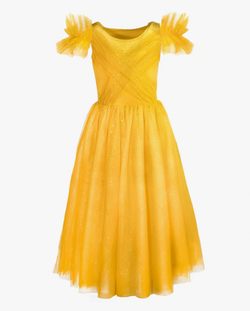 The Princess Beauty Belle Costume