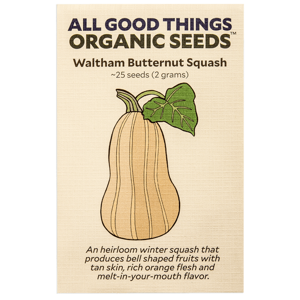 Waltham Butternut Squash Seeds