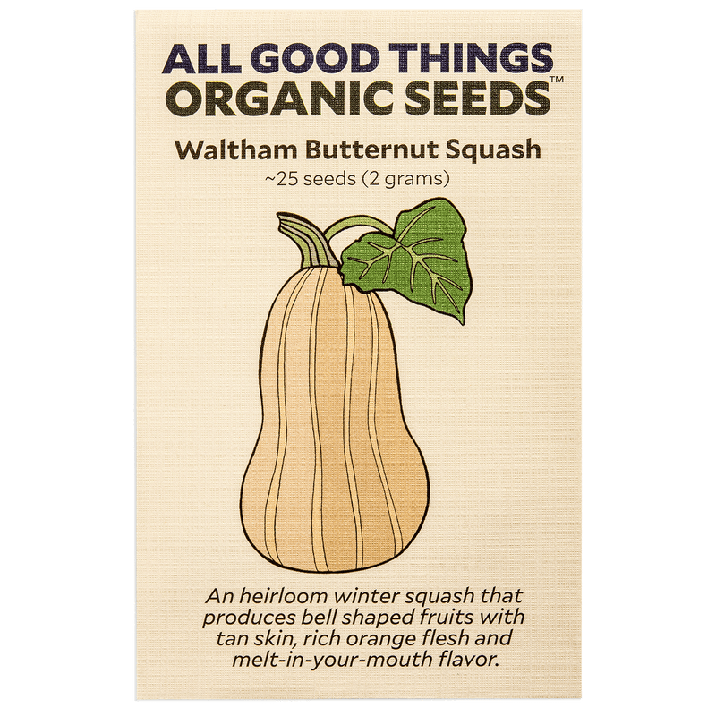 Waltham Butternut Squash Seeds