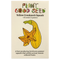 Crookneck Summer Squash
