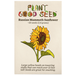 Russian Mammoth Sunflower Seeds
