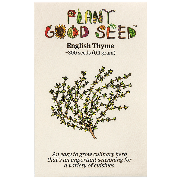 English Thyme Seeds