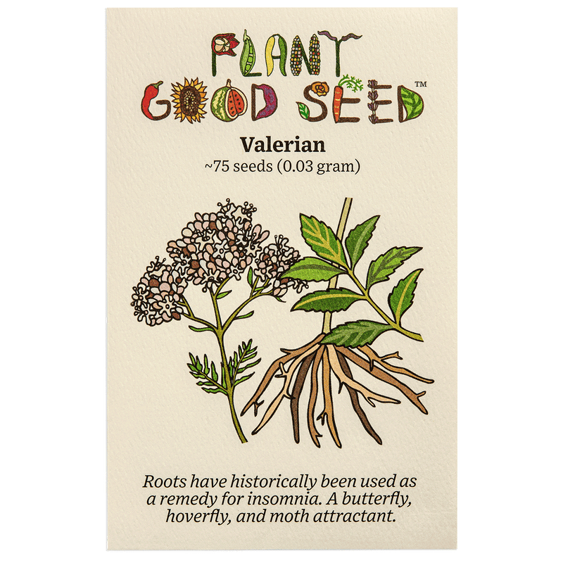 Valerian Seeds