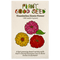 Thumbelina Zinnia Flower Seeds