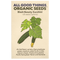 Black Beauty Zucchini Seeds
