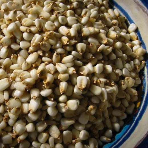 White Corn Posole/Prepared Hominy
