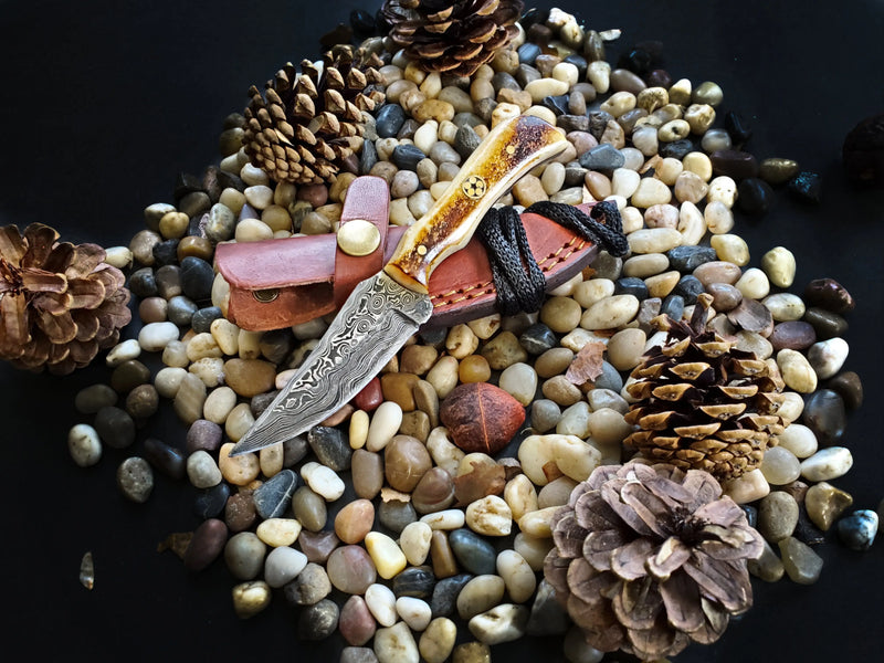 Steel and Burnt Bone Hunting Knife TD-178
