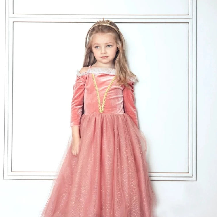 The Princess Briar Rose Costume
