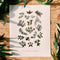 Native Trees of California Print