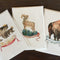 National Park Greeting Cards