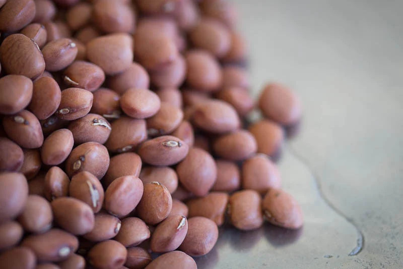 Rancho Gordo Santa Maria Pinquito Beans