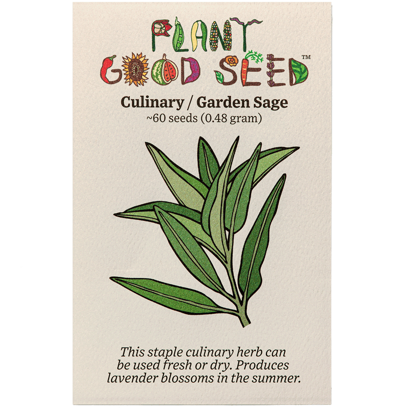 Culinary / Garden Sage Seeds