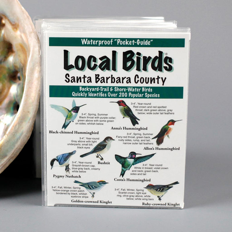 Local Birds of Santa Barbara County Booklet