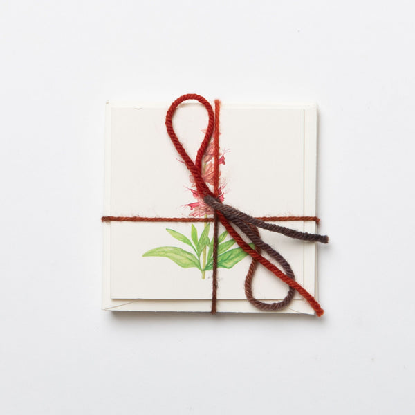 Mini Plant Card Packs