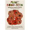 Oklahoma Salmon Zinnia Flower Seeds